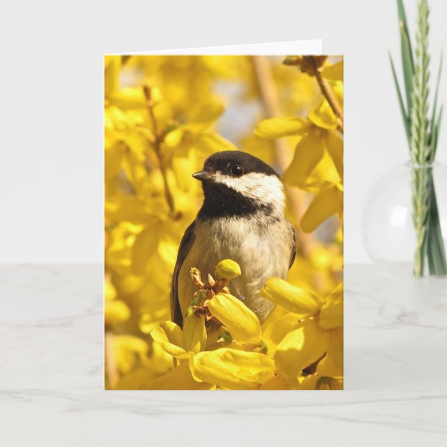 L'oiseau de Chickadee en jaune fleurit la carte (Devant)