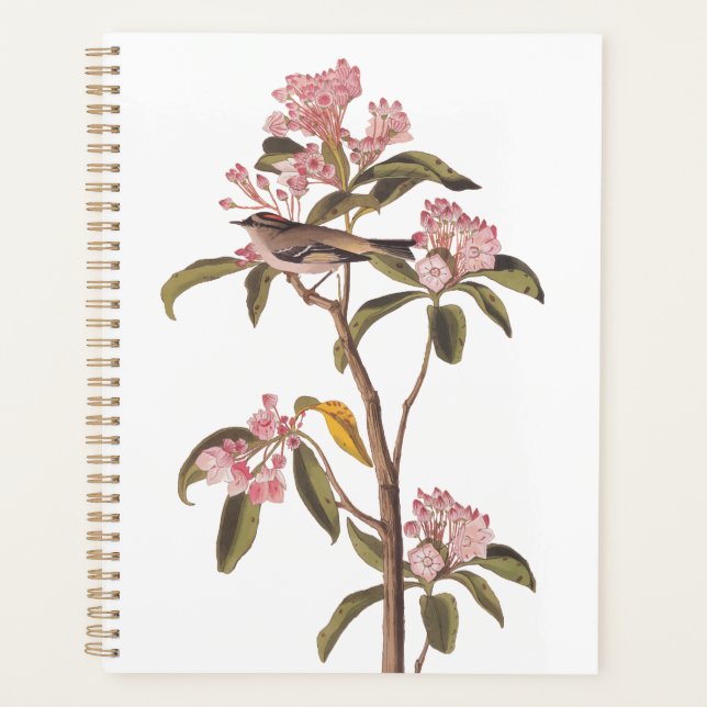 L'Oiseau de couvier d'Audubon sur Calico Rose (Devant)