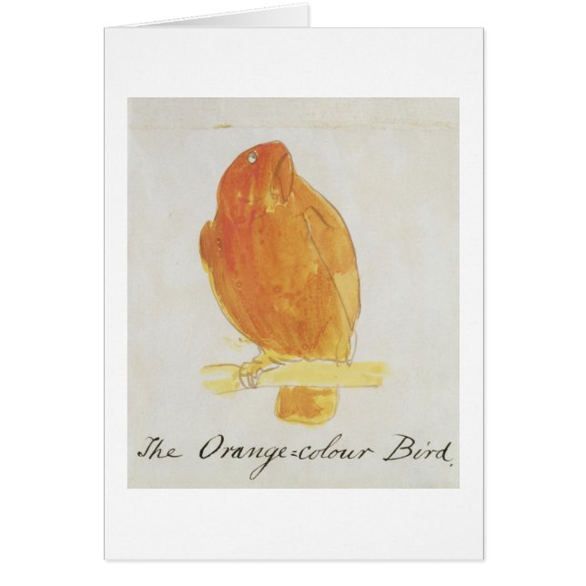 L'oiseau orange de couleur, de 'seize dessins de (Devant)