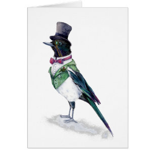 L'oiseau victorien Magpie