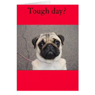 Lola ressent ta douleur