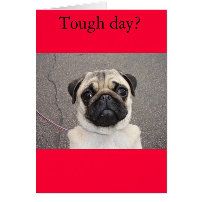 Lola ressent ta douleur (Devant)