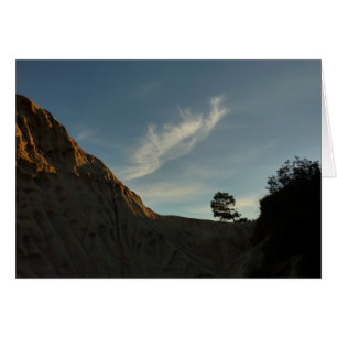 Lone Torrey Pine Californie Sunset Paysage