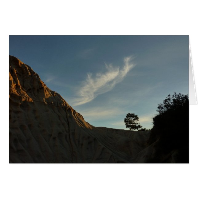 Lone Torrey Pine Californie Sunset Paysage (Devant horizontal)