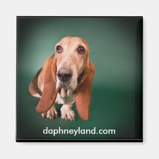 Lonely Basset Magnet