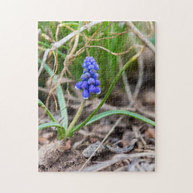 Lonely Graphe Hyacinth Jigsaw Puzzle (Vertical)