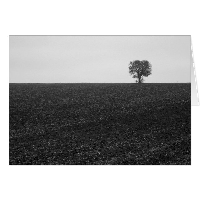 Lonely Tree (Devant horizontal)