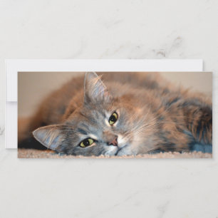 Long chapeau bleu russe par Shirley Taylor