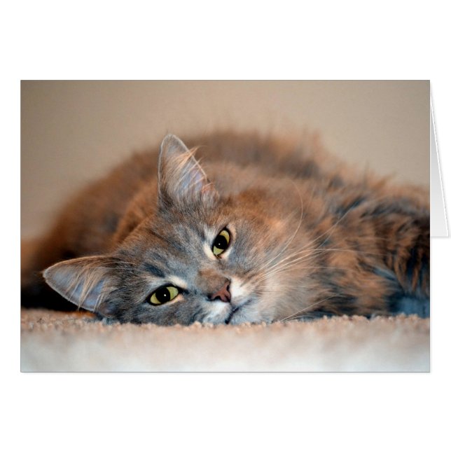 Long chapeau bleu russe par Shirley Taylor (Devant horizontal)