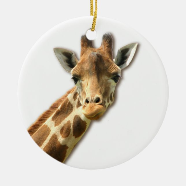 Long ornement étranglé de girafe (Devant)