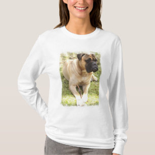 Long T-shirt de douille de dames anglaises de