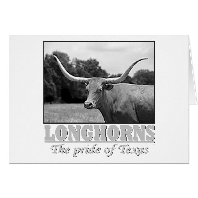 longhorn_pride (Devant horizontal)