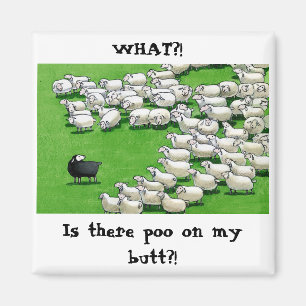 Longue Agneau perdu : Aimant à bouton collant