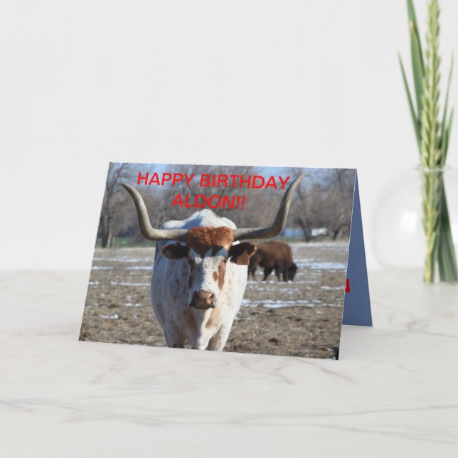 Longue carte d'anniversaire de vache à klaxon (Devant)