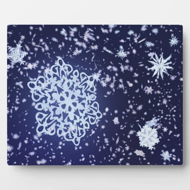 Longue Plaque nocturne d'hiver (Devant)