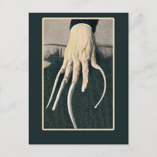 Longues Fingernails, Cartes D'Oddité De Cirque