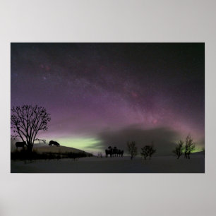 "Look Back."  Border Collie Poster