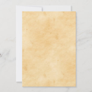 Look Old Parchment Background