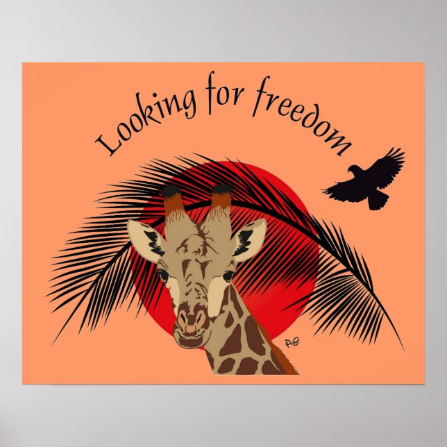 Looking for freedom poster (Devant)
