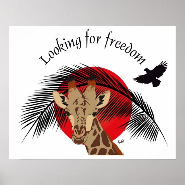 Looking for freedom poster (Devant)