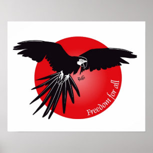 Looking for freedom poster