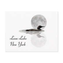 Loon Swims Dans La Carte Postale Moonlight