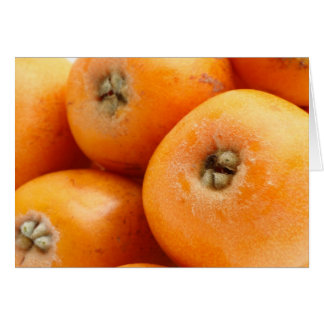 Loquats
