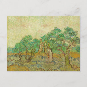 L'Orchard d'Olivier par van Gogh Carte Postale