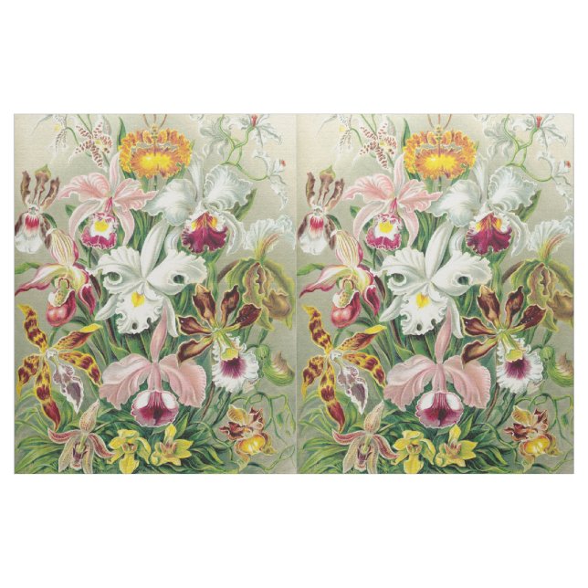 L'orchidée de Botancal fleurit le tissu floral de (Yard)