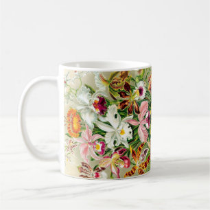 L'orchidée fleurit la tasse