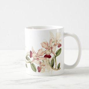 L'orchidée vintage fleurit la tasse