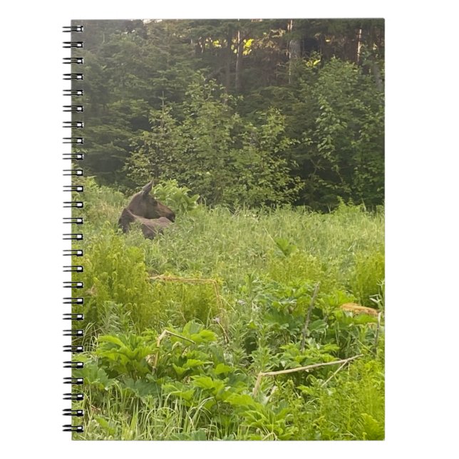 L'orignal dans le Carnet de l'herbe (Devant)