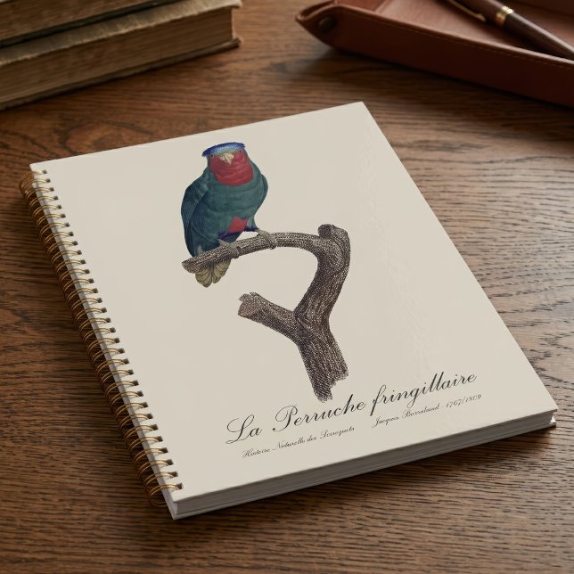Loriquet à couronne bleue, Vini Australis (Blue-Crowned Lorikeet, Vini Australis. Planner)