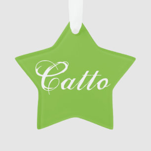 L'ornement de l'étoile "Catto" vert