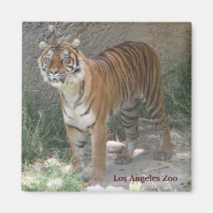 Los Angeles Zoo Magnet !