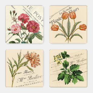 Lot De Dessous-de-verres Carte postale Vintage Fleur de jardin
