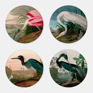 Lot De Dessous-de-verres Heron Crane Birds of America Audubon Imprimer