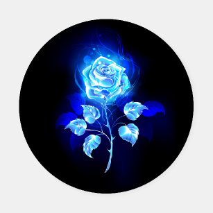 Lot De Dessous-de-verres Rose bleu brûlant