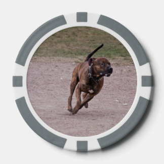 Lot De Jeton De Poker Amstaff en cours