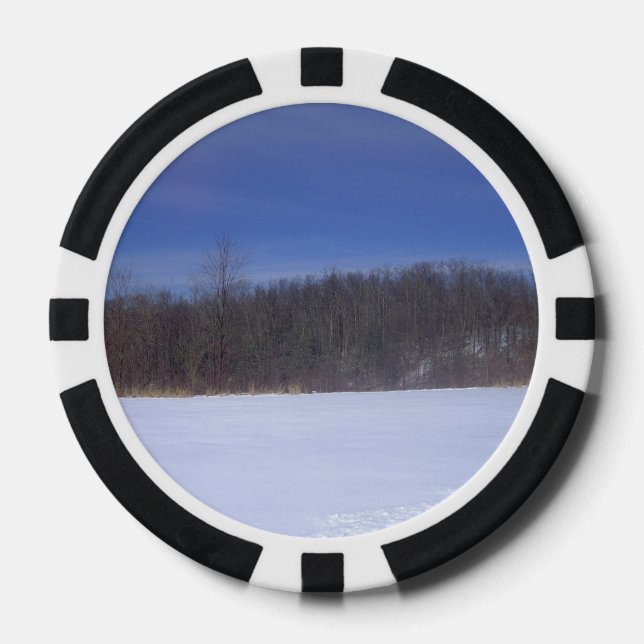Lot De Jeton De Poker Champ blanc (Recto)