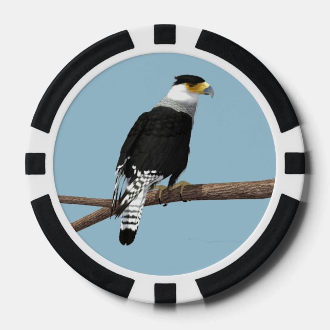 Lot De Jeton De Poker Chip de poker en argile de Caracara mis en place (Recto)