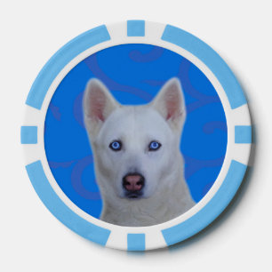 Lot De Jeton De Poker Chips de poker en argile blanche en Sibérie, Bleu
