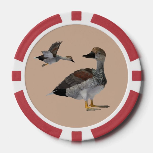 Lot De Jeton De Poker Chips de poker Gadwall (Recto)