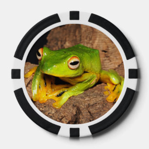 Lot De Jeton De Poker Grenouille de glissement Noir-Palmée vietnamienne