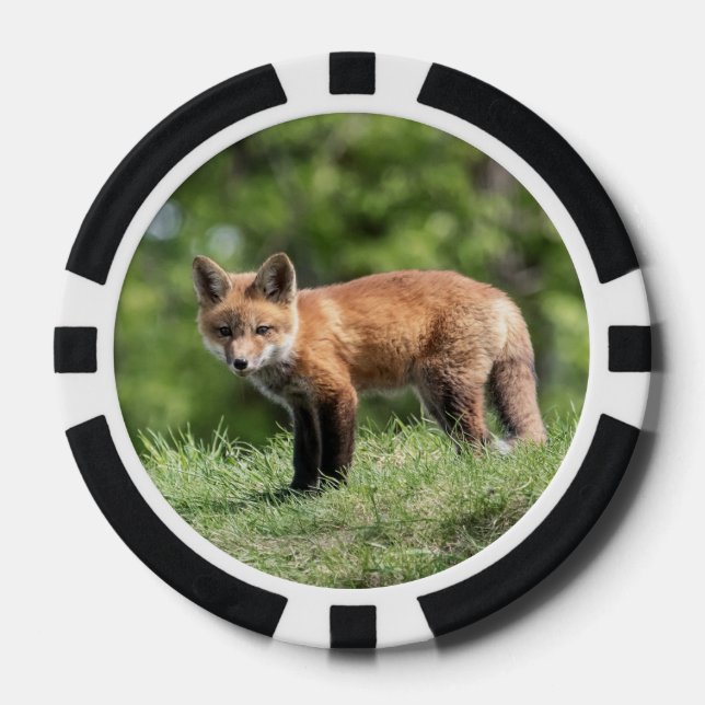 Lot De Jeton De Poker Kit Red Fox (Recto)