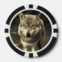 Wolf 215
