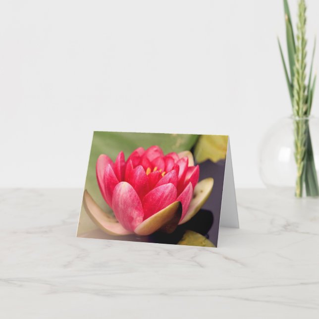 Lotus All Occasion Carte pour notes (Devant)