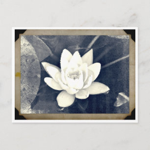 LOTUS CARTE POSTALE PHOTOGRAPHIQUE VINTAGE