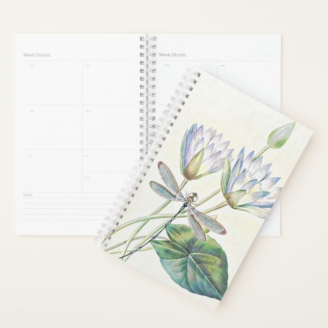 Lotus et libellule (Devant avec enveloppe)