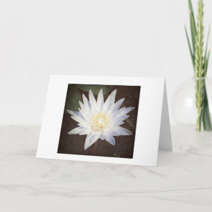 "LOTUS PEINTS" CARTE D'ACCUEIL